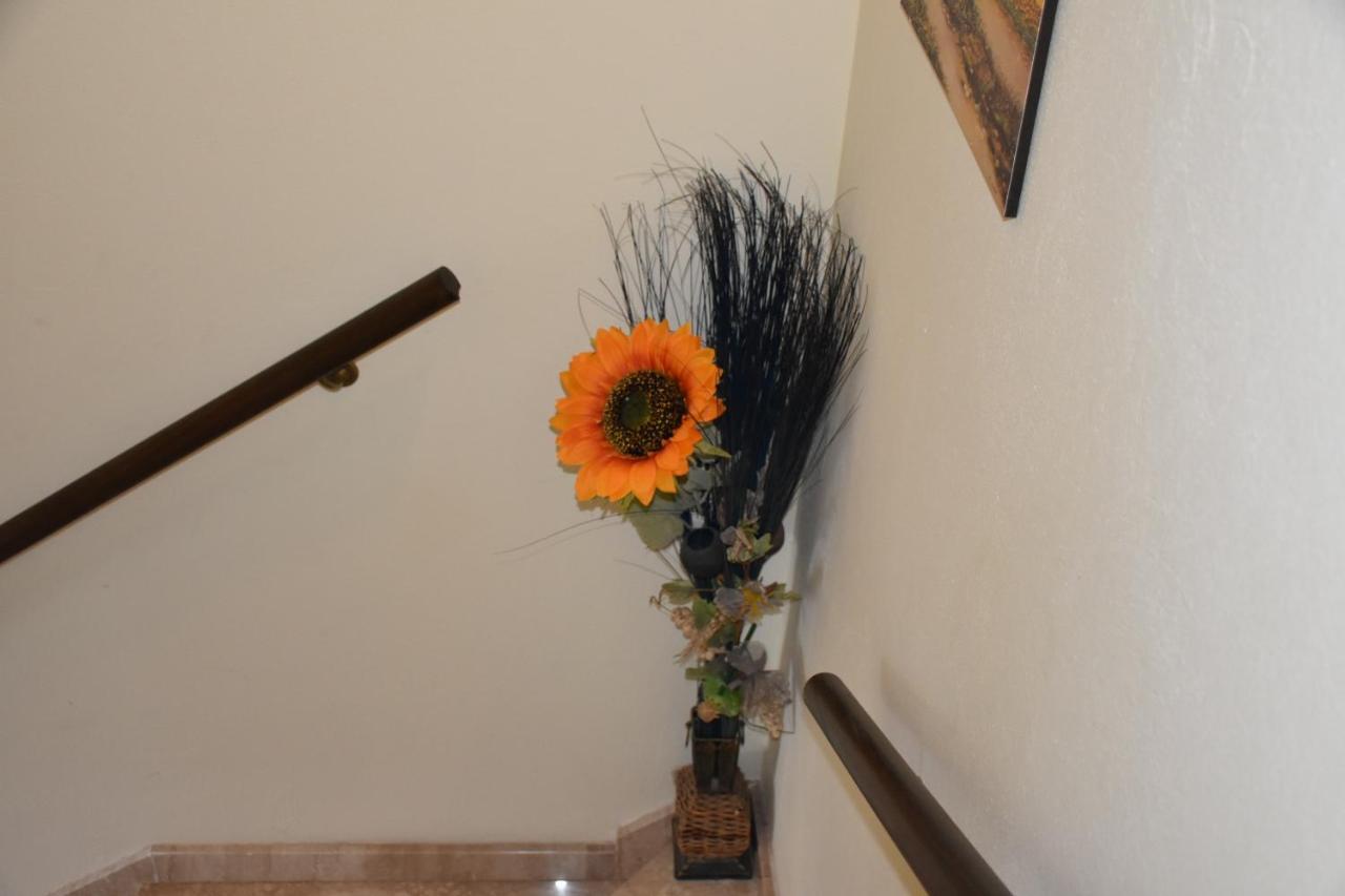 B&B Il Girasole Ассемини Экстерьер фото